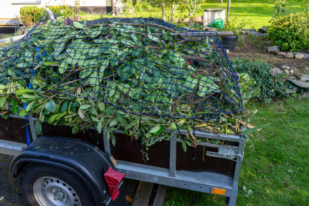 Professional Junk Removal Services in Pelzer, SC